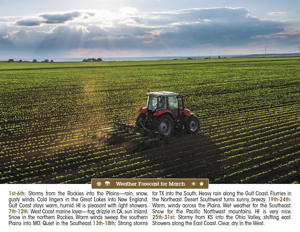 Scenic Almanac Calendar Weather FSC Gloss - 19 x 11 in - product view 6