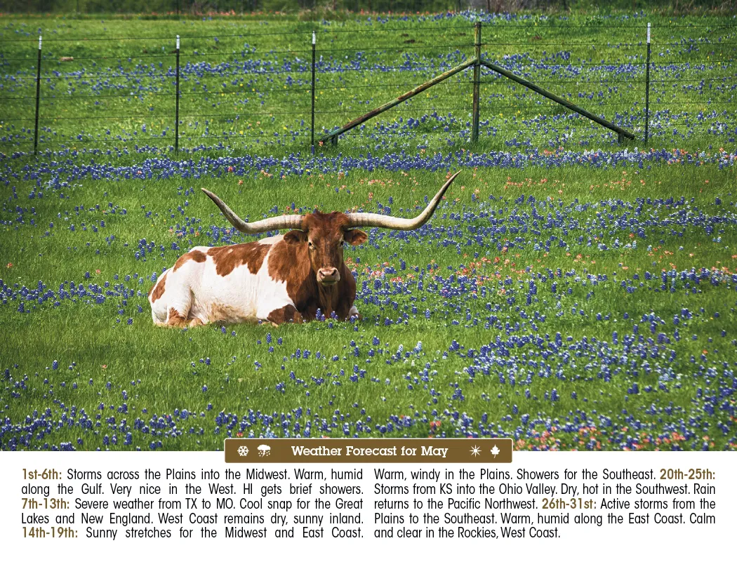 Scenic Almanac Calendar Weather FSC Gloss - 19 x 11 in - product view 8