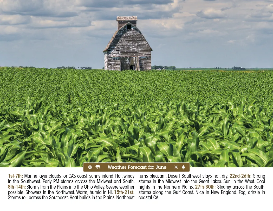 Scenic Almanac Calendar Weather FSC Gloss - 19 x 11 in - product view 9