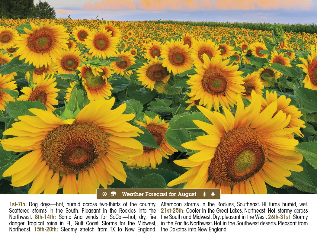 Scenic Almanac Calendar Weather FSC Gloss - 19 x 11 in - product view 11