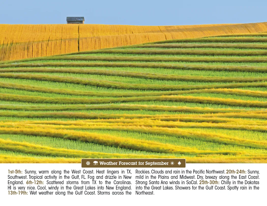 Scenic Almanac Calendar Weather FSC Gloss - 19 x 11 in - product view 12