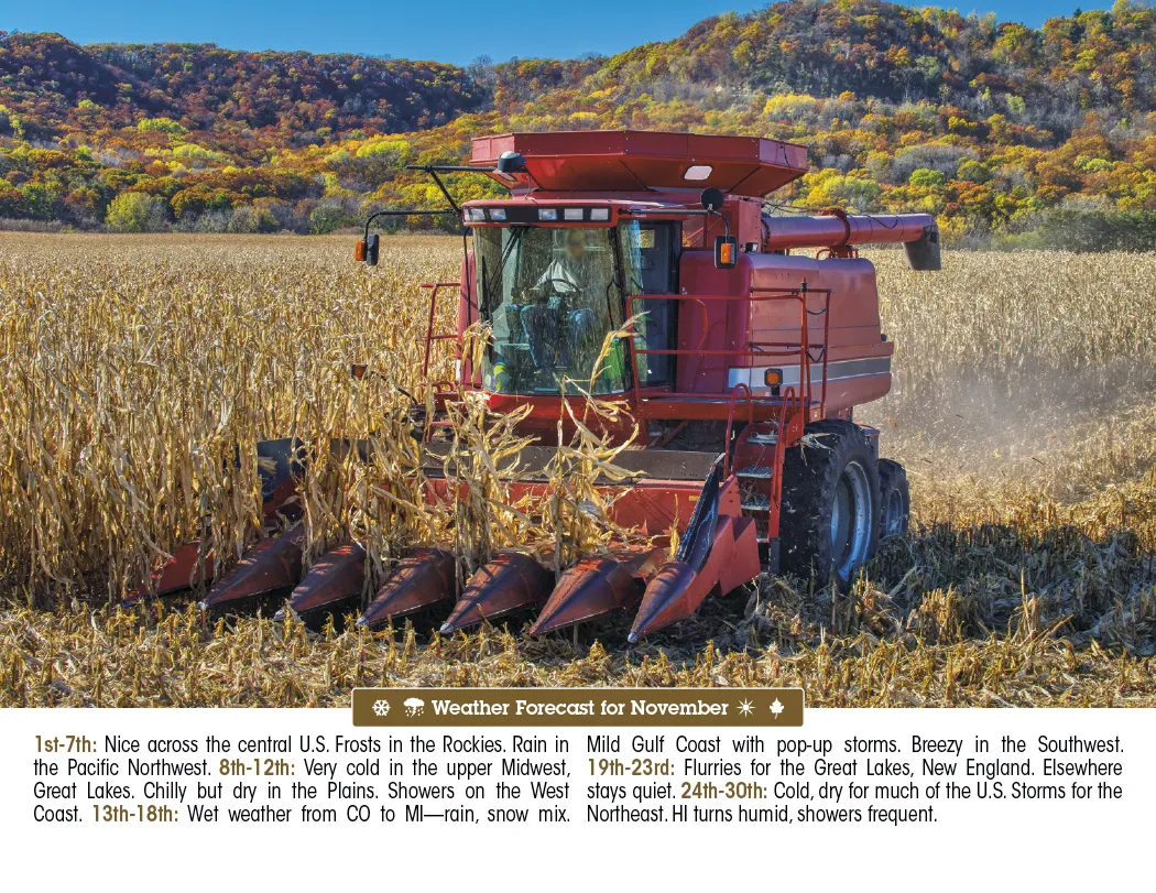 Scenic Almanac Calendar Weather FSC Gloss - 19 x 11 in - product view 14