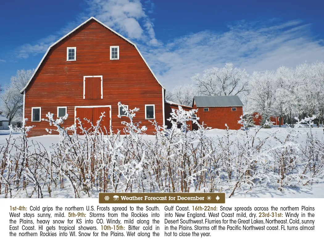 Scenic Almanac Calendar Weather FSC Gloss - 19 x 11 in - product view 15