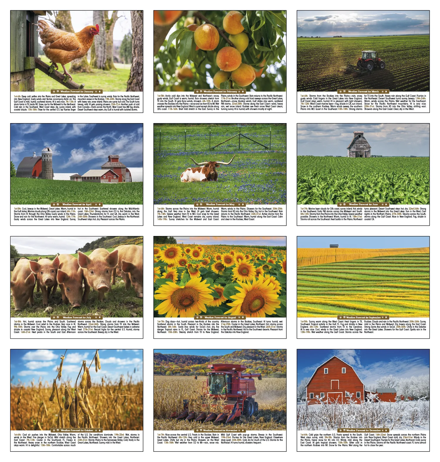 Scenic Almanac Calendar Weather FSC Gloss - 19 x 11 in - product view 17