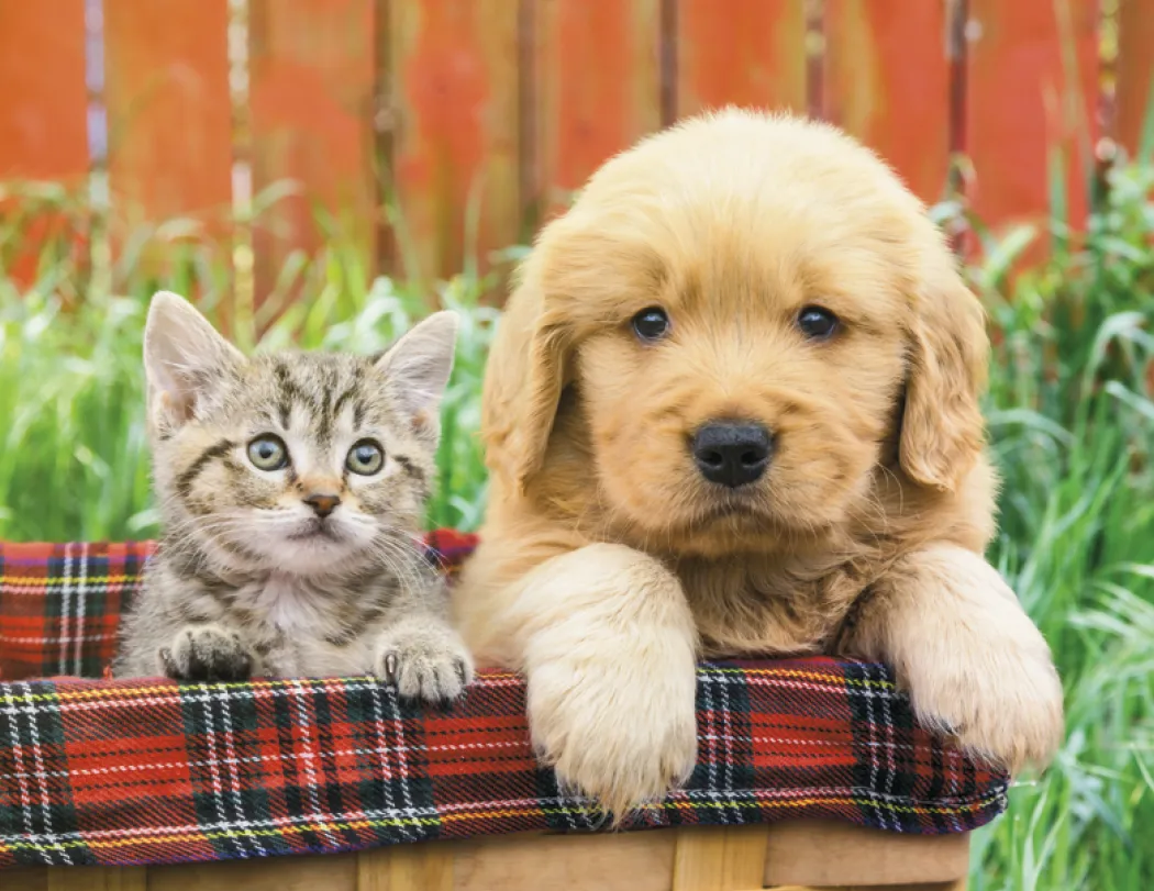 Puppies & Kittens Spiral Wall Calendar FSC Paper - 18.5 x 11 in - product view 15