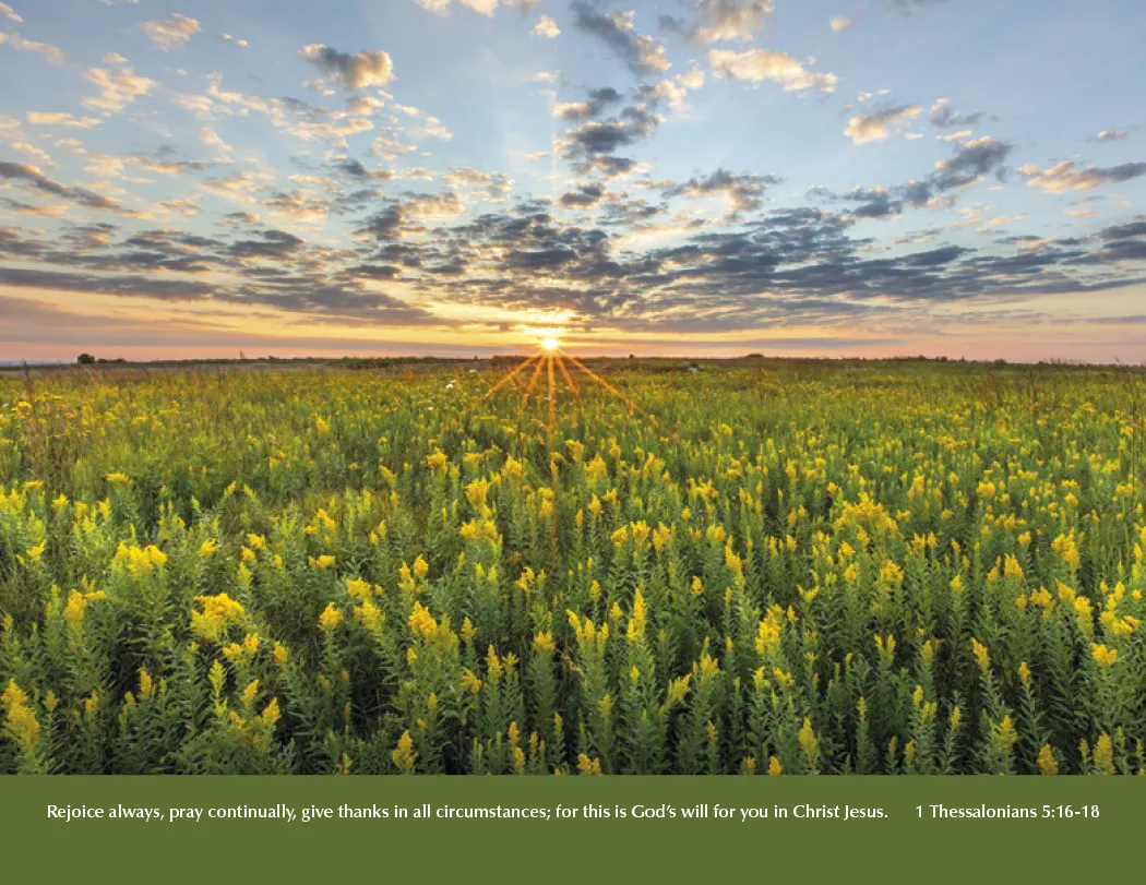 Eternal Word Bible Verse Spiral Calendar Planning - 18.5 x 11 in - product view 11