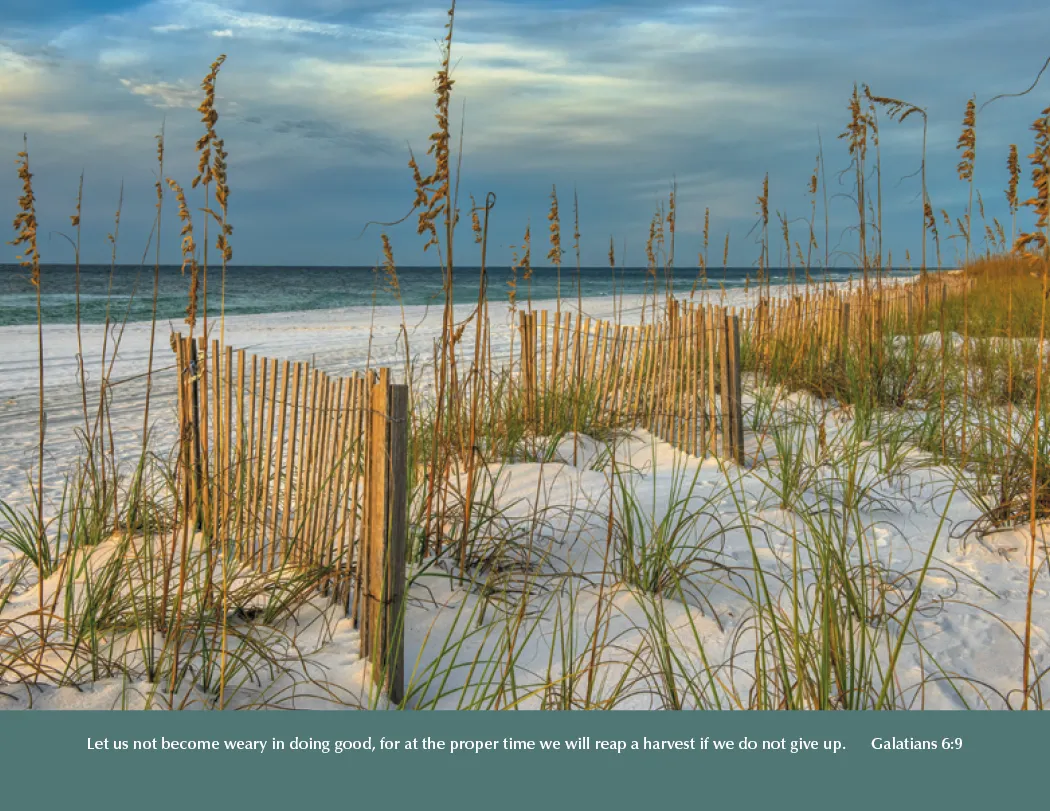 Eternal Word Bible Verse Spiral Calendar Planning - 18.5 x 11 in - product view 12