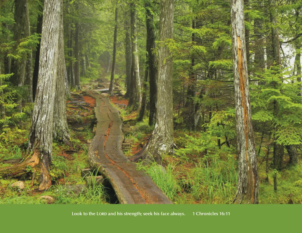 Eternal Word Bible Verse Spiral Calendar Planning - 18.5 x 11 in - product view 13