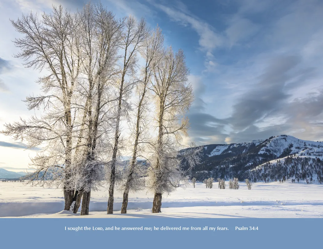 Eternal Word Bible Verse Spiral Calendar FSC Paper - 18.5 x 11 in - product view 4