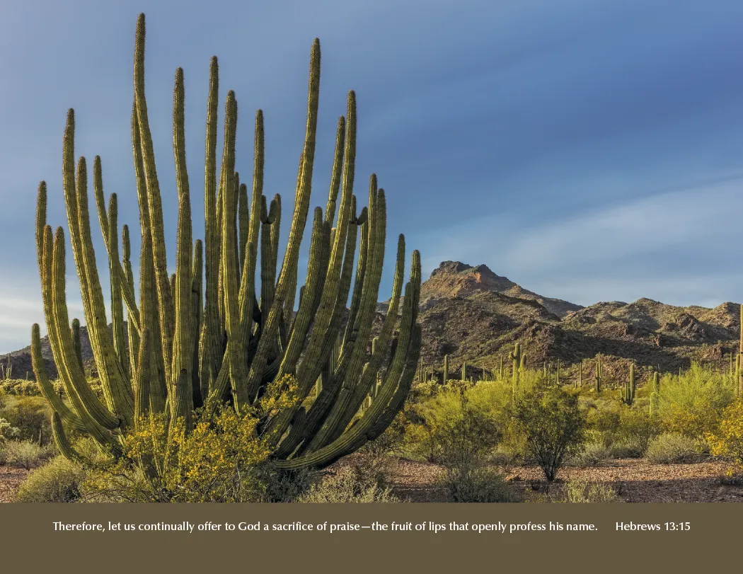 Eternal Word Bible Verse Spiral Calendar FSC Paper - 18.5 x 11 in - product view 6