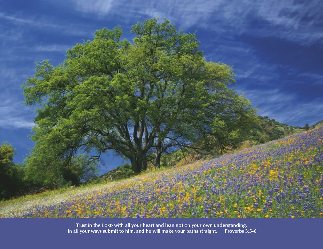 Eternal Word Bible Verse Spiral Calendar FSC Paper - 18.5 x 11 in - product view 8