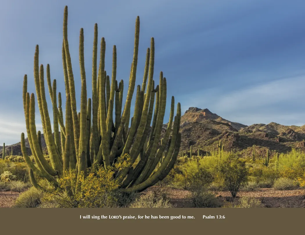 Everlasting Word Spiral Calendar Bible Verses - 18.5 x 11 in - product view 6