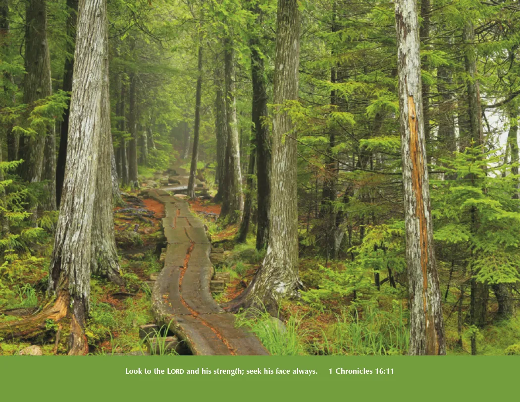 Everlasting Word Spiral Calendar Bible Verses - 18.5 x 11 in - product view 12