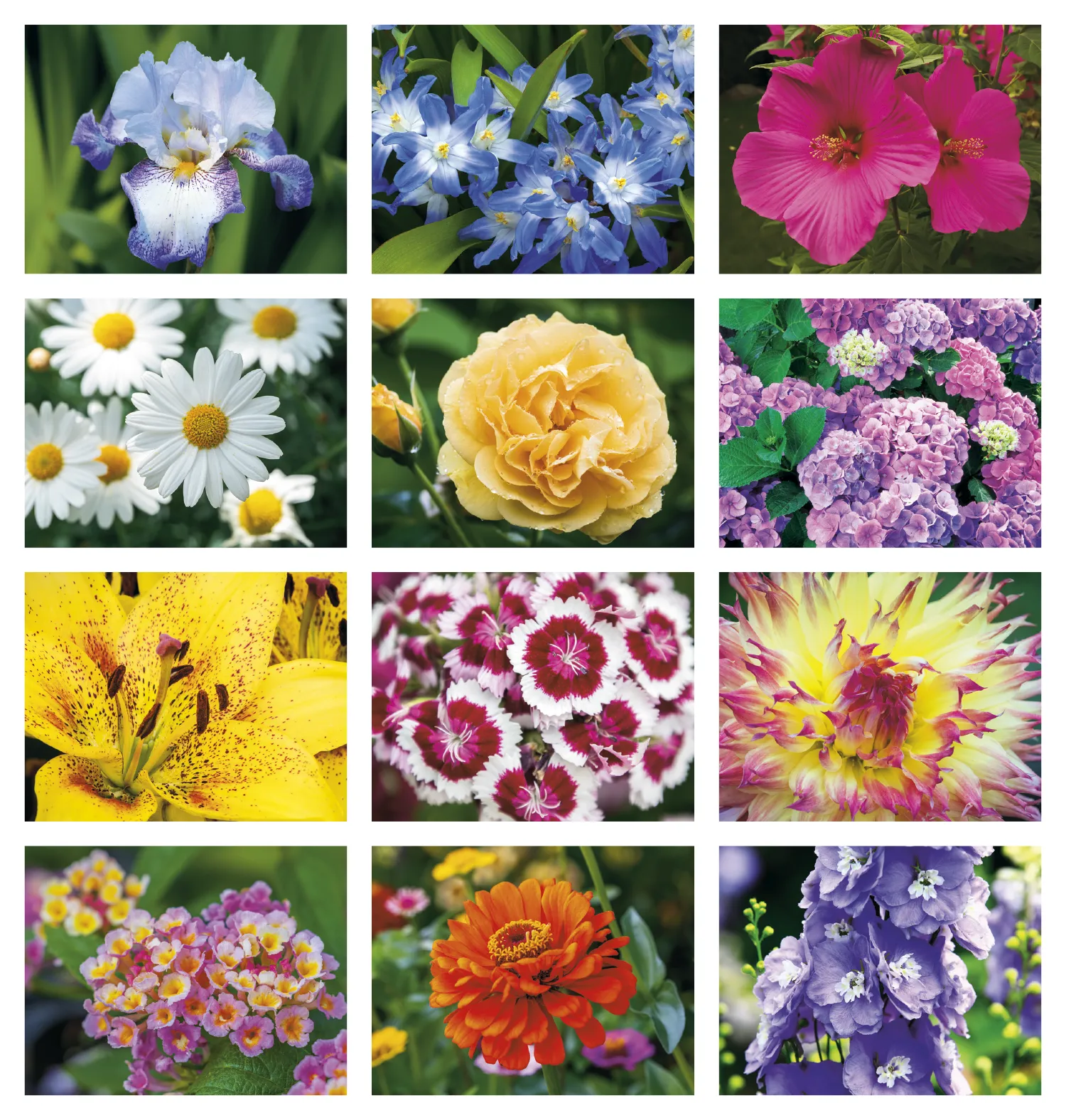 Flowers Spiral Wall Calendar FSC Paper - 18.5 x 11 in - product view 18