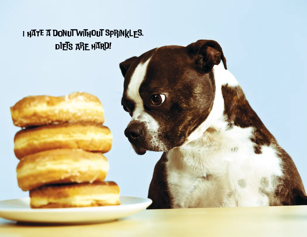 Pets with Attitude Spiral Wall Calendar FSC - 18.5 x 11 in - product view 4