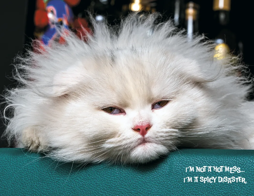 Pets with Attitude Spiral Wall Calendar FSC - 18.5 x 11 in - product view 5