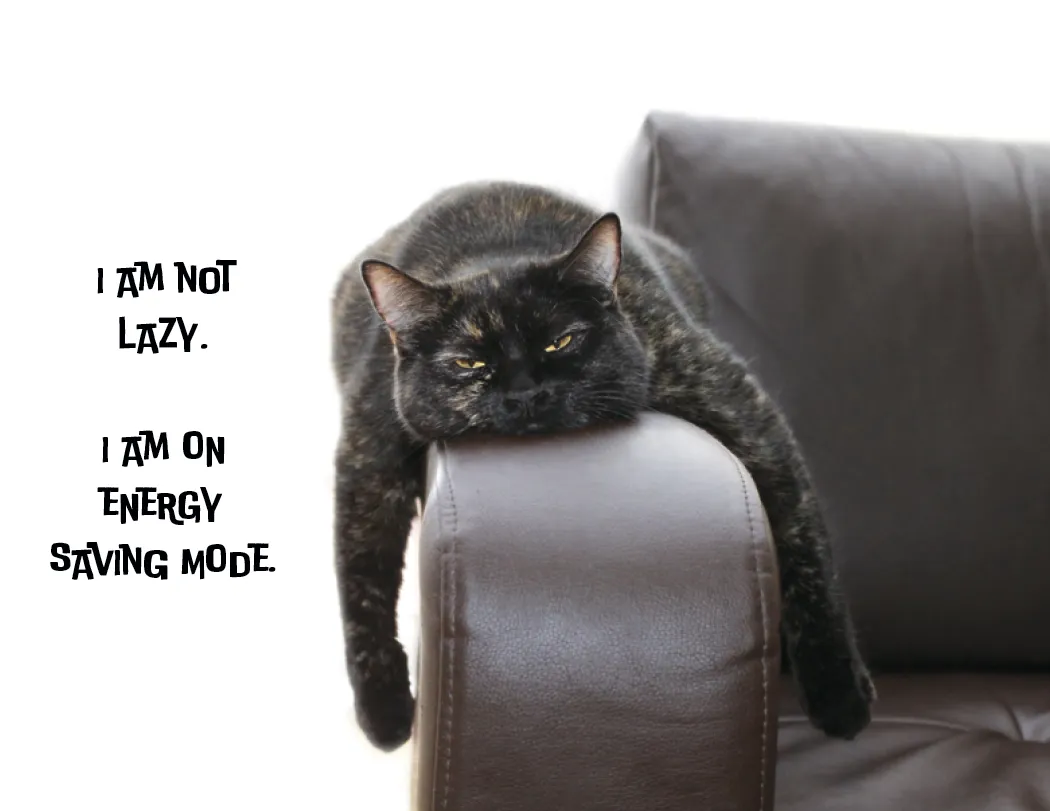 Pets with Attitude Spiral Wall Calendar FSC - 18.5 x 11 in - product view 12