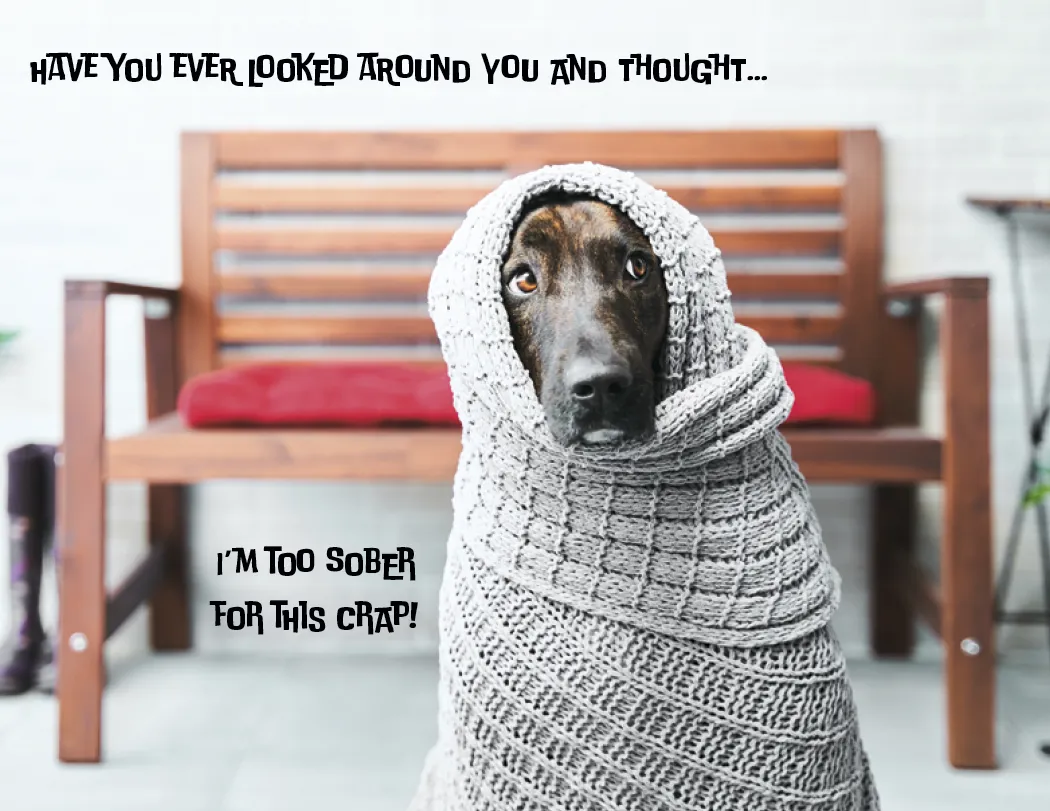 Pets with Attitude Spiral Wall Calendar FSC - 18.5 x 11 in - product view 14