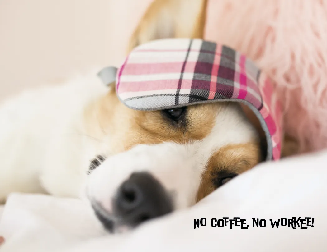 Pets with Attitude Spiral Wall Calendar FSC - 18.5 x 11 in - product view 15