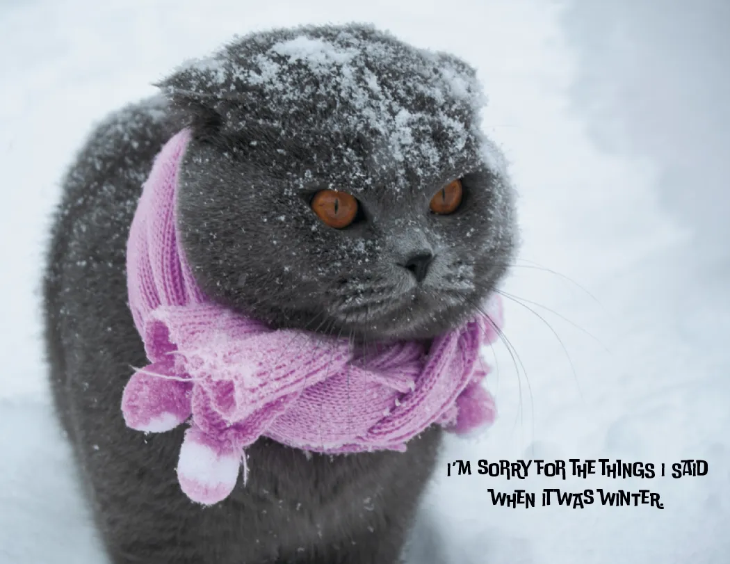 Pets with Attitude Spiral Wall Calendar FSC - 18.5 x 11 in - product view 16