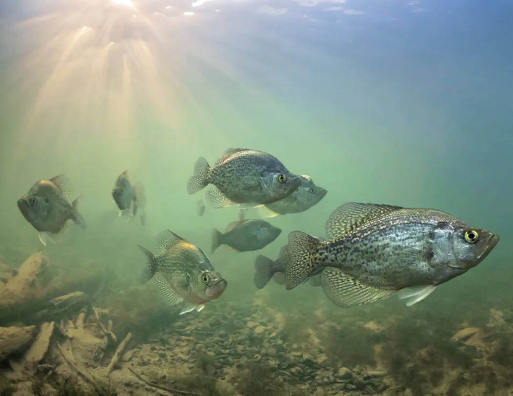 Fishing Spiral Wall Calendar FSC Paper - 18.5 x 11 in - product view 7