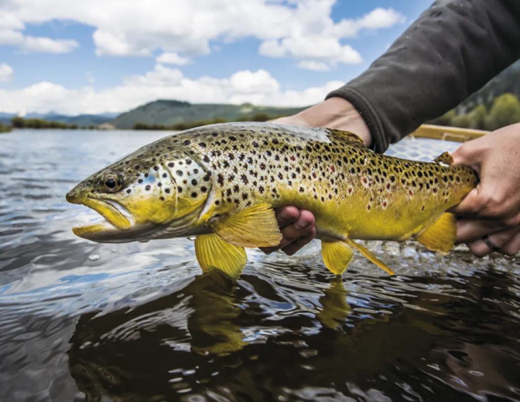 Fishing Spiral Wall Calendar FSC Paper - 18.5 x 11 in - product view 8