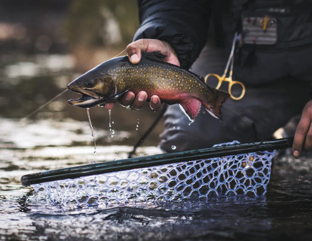 Fishing Spiral Wall Calendar FSC Paper - 18.5 x 11 in - product view 12