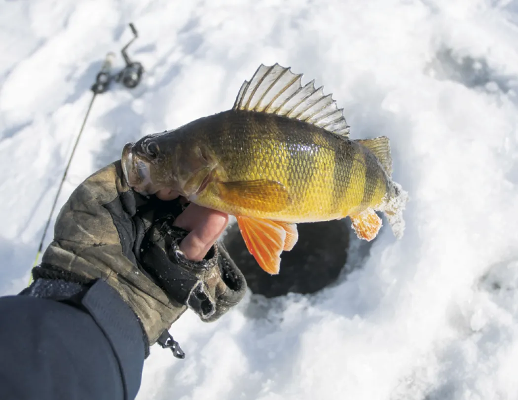 Fishing Spiral Wall Calendar FSC Paper - 18.5 x 11 in - product view 16