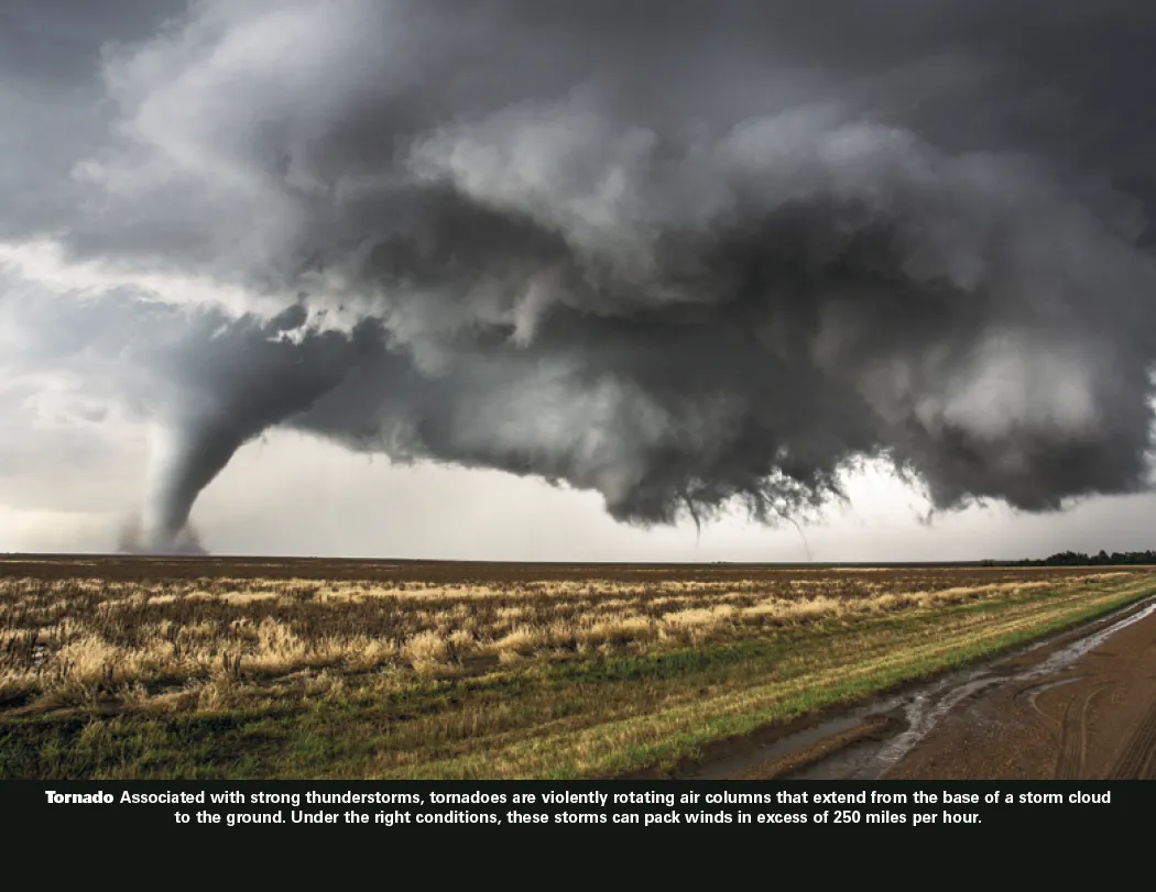 Power of Nature Spiral Wall Calendar FSC Paper - 18.5 x 11 in - product view 8