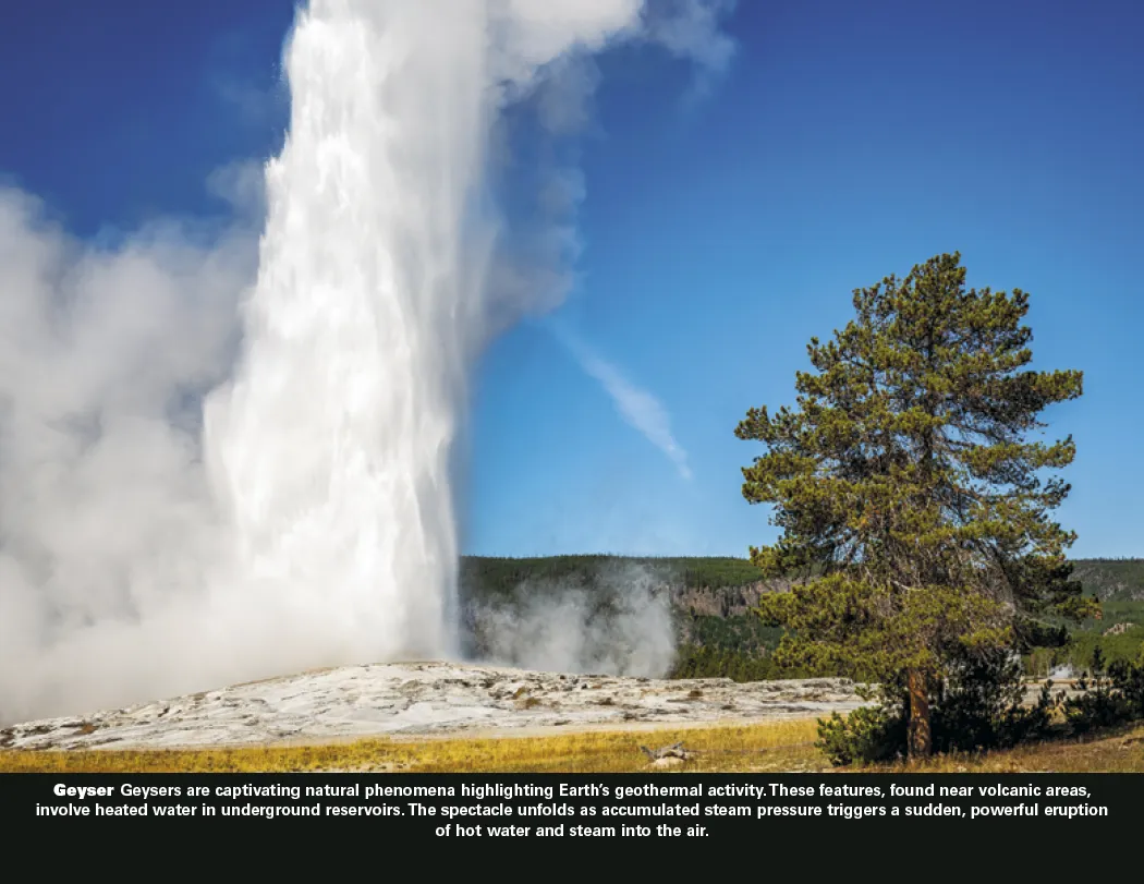 Power of Nature Spiral Wall Calendar FSC Paper - 18.5 x 11 in - product view 12