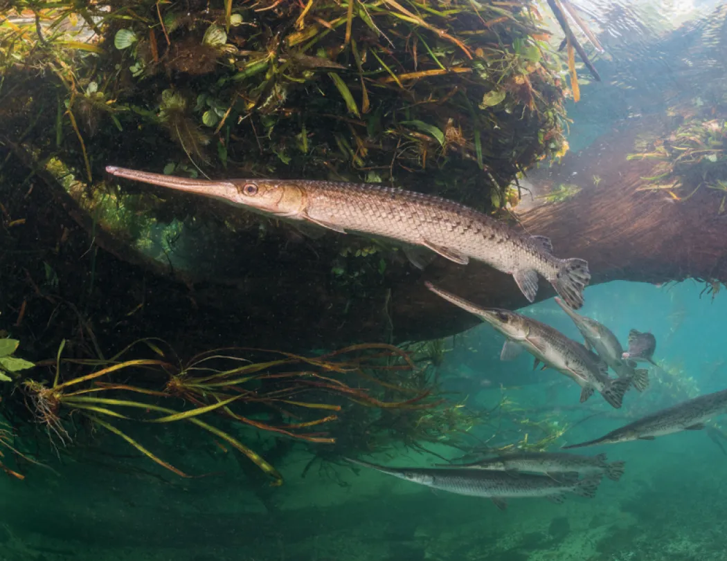 Fishing Wall Calendar Stapled FSC Paper - 19 x 11 in - product view 4