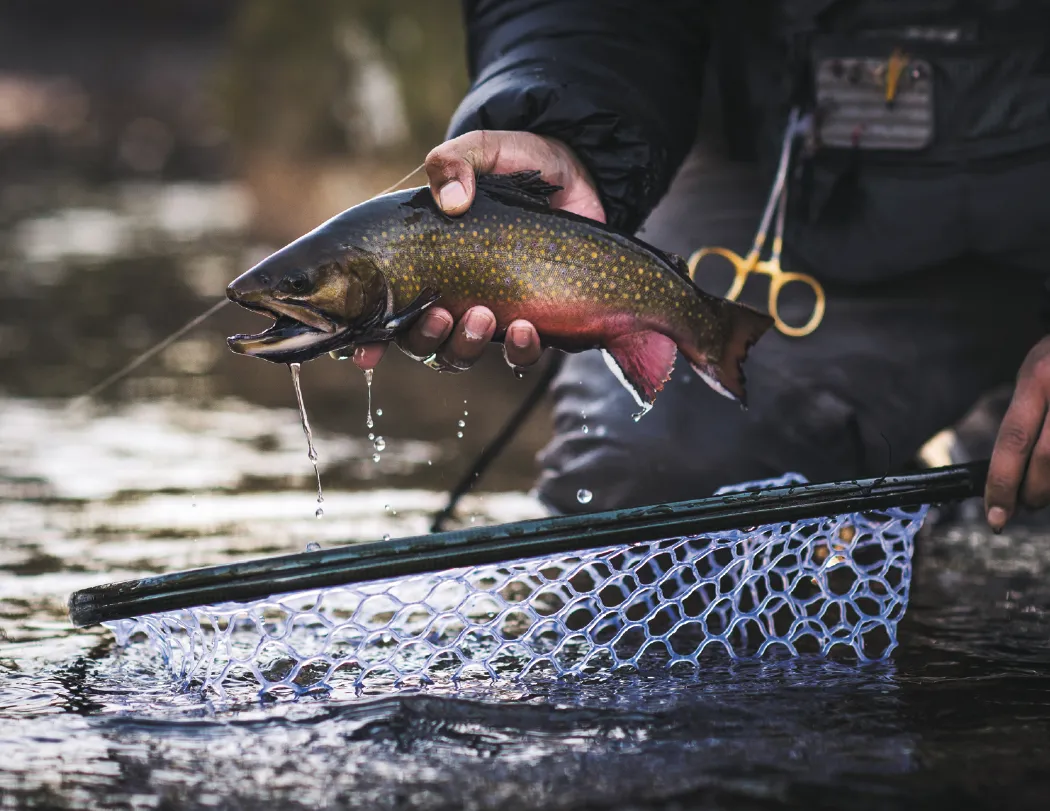 Fishing Wall Calendar Stapled FSC Paper - 19 x 11 in - product view 12