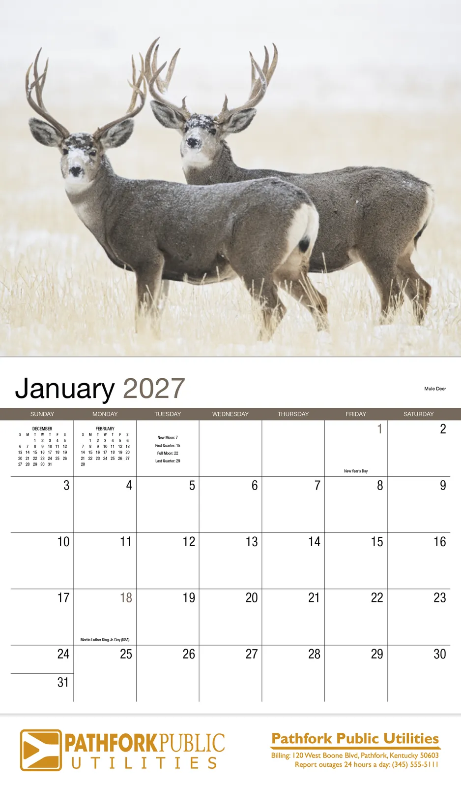 Wildlife Wall Calendar Stapled FSC Paper - 19 x 11 in - product view 3