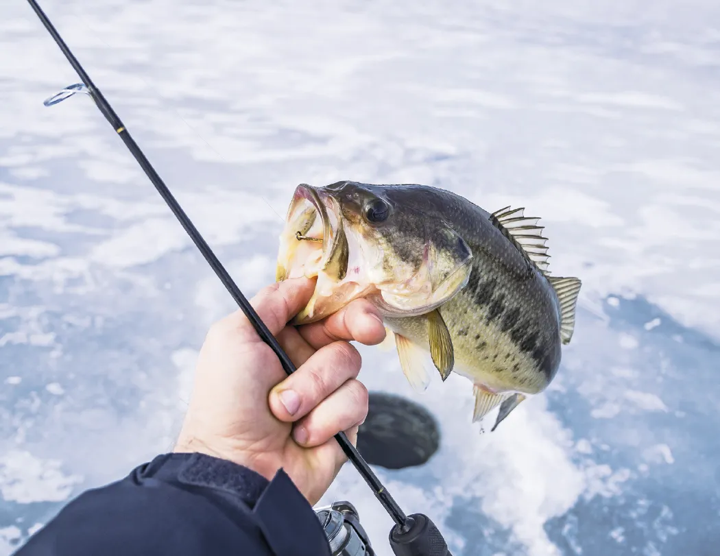 Fishing Guide Wall Calendar Activity Forecast - 19 x 11 in - product view 4