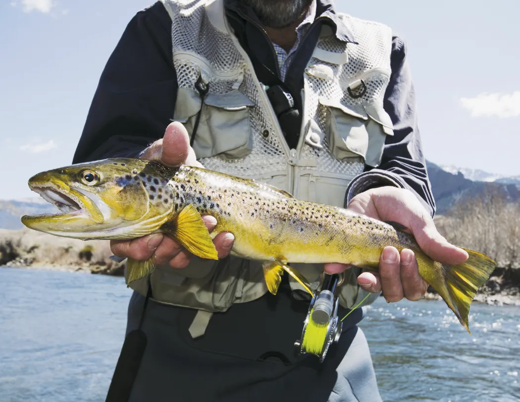 Fishing Guide Wall Calendar Activity Forecast - 19 x 11 in - product view 13