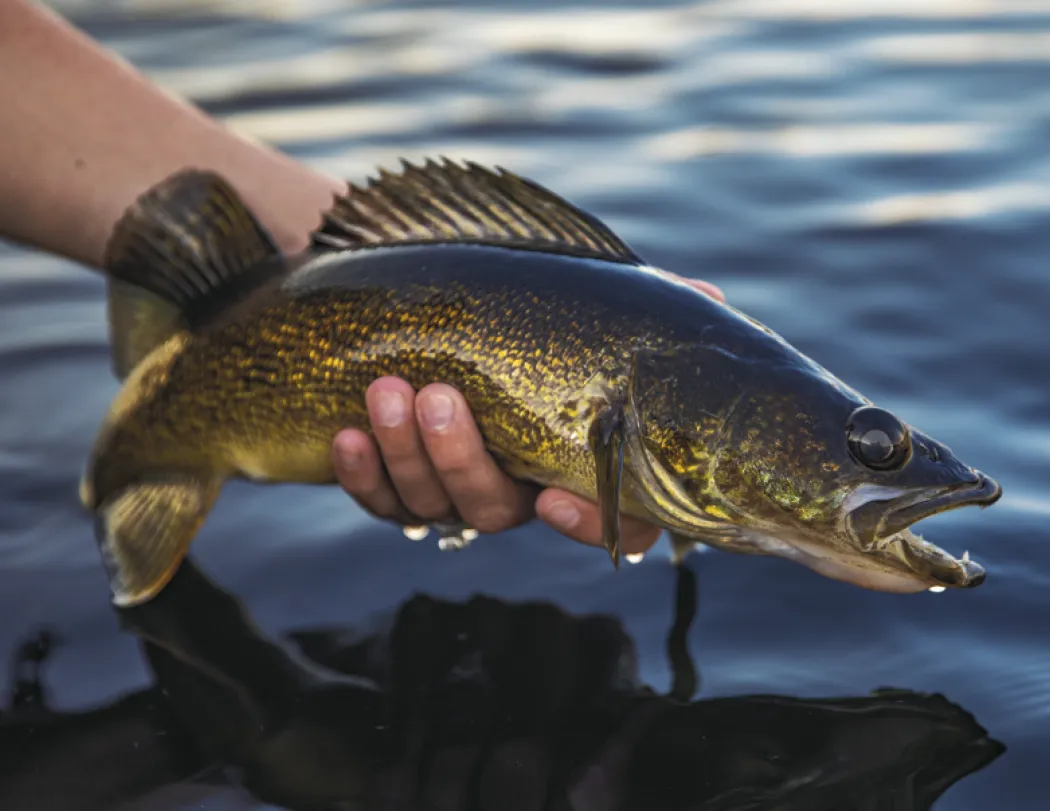 Fishing Guide Wall Calendar Activity Forecast - 19 x 11 in - product view 15