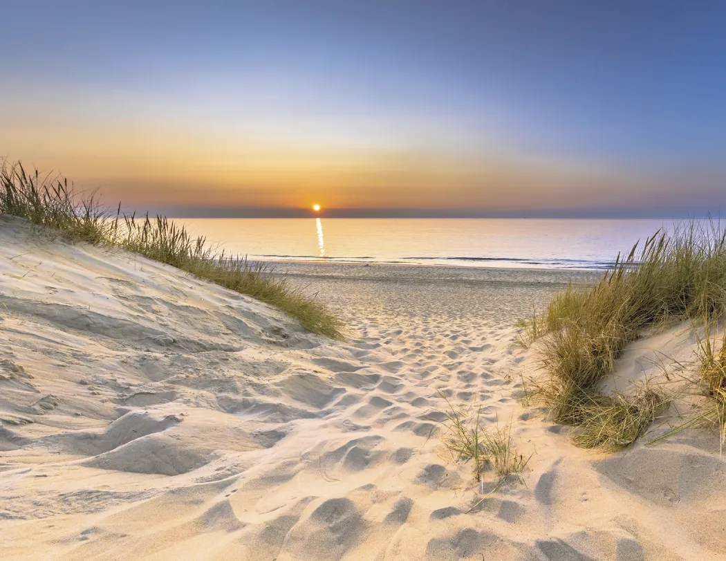 Dawn to Dusk Wall Calendar Sunrise Sunset - 19 x 11 in - product view 4