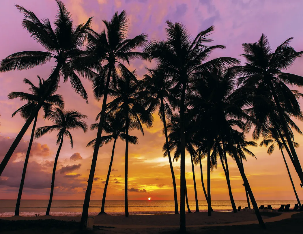 Dawn to Dusk Wall Calendar Sunrise Sunset - 19 x 11 in - product view 6