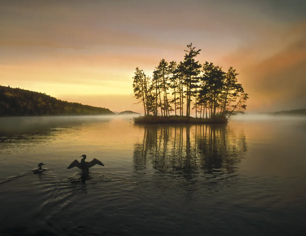 Dawn to Dusk Wall Calendar Sunrise Sunset - 19 x 11 in - product view 9