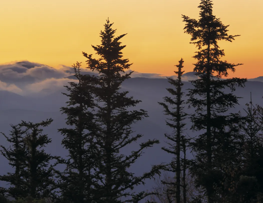 Dawn to Dusk Wall Calendar Sunrise Sunset - 19 x 11 in - product view 14