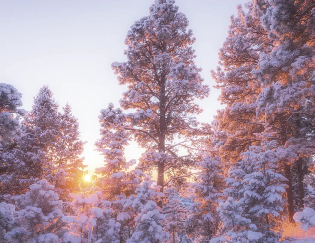 Dawn to Dusk Wall Calendar Sunrise Sunset - 19 x 11 in - product view 16