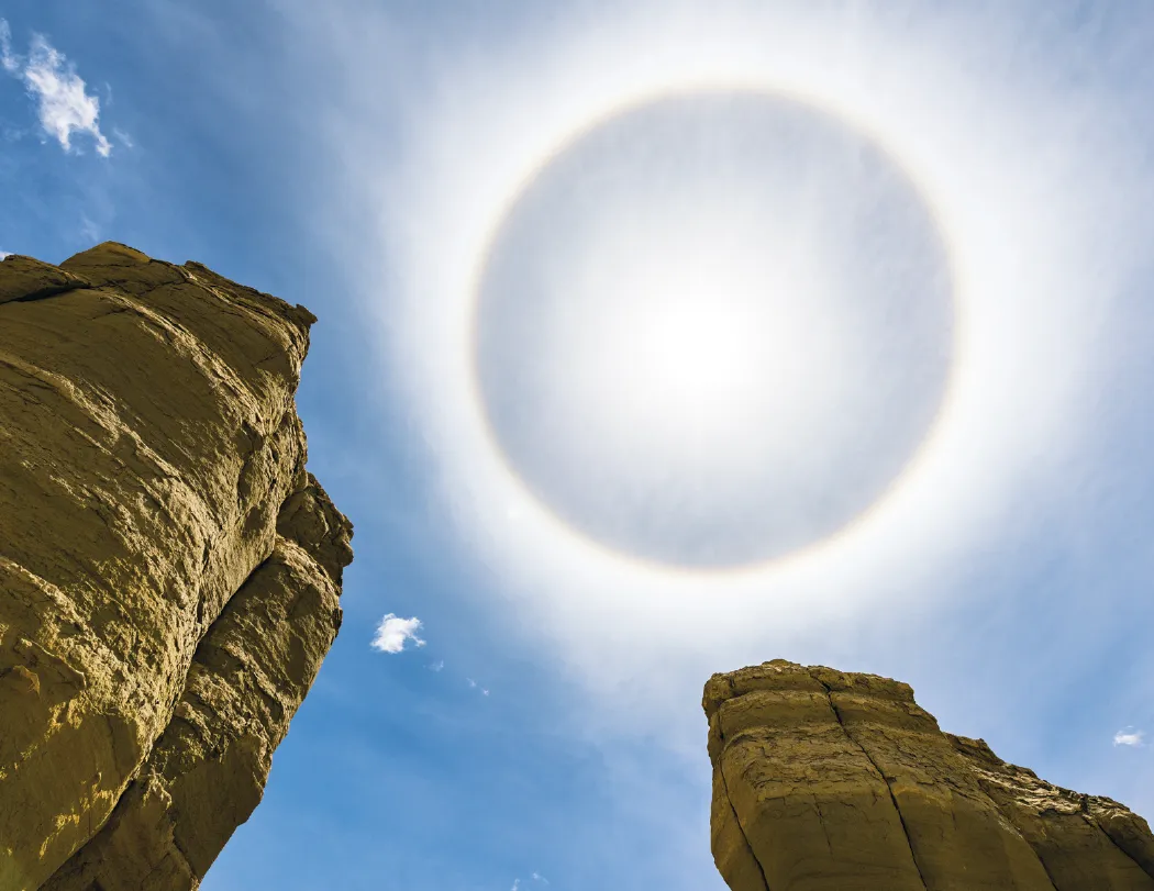 Weather Almanac Wall Calendar Phenomena FSC - 19 x 11 in - product view 4