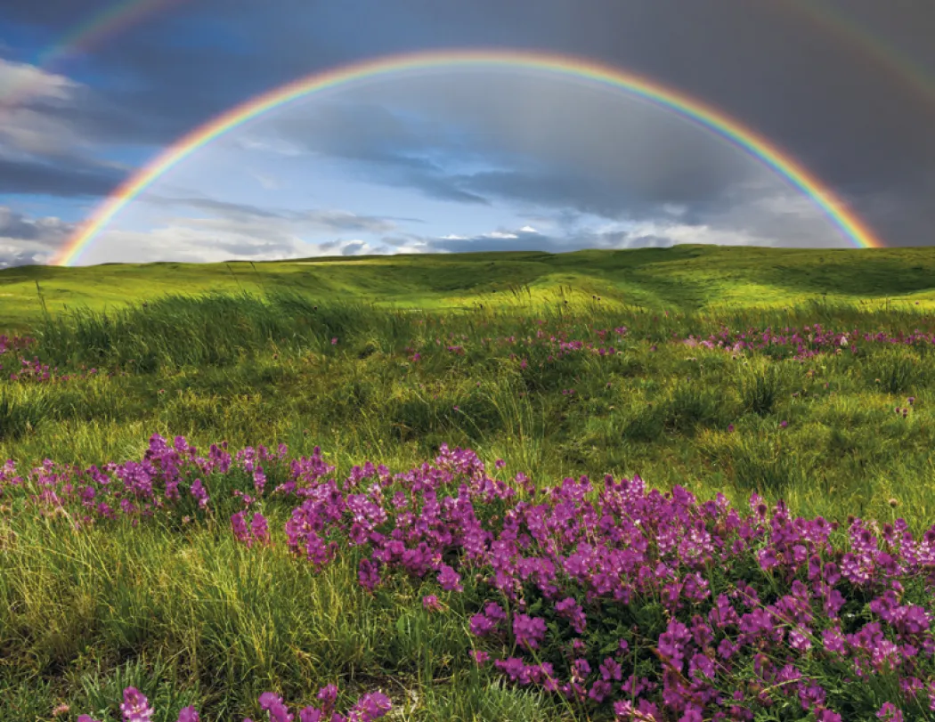 Weather Almanac Wall Calendar Phenomena FSC - 19 x 11 in - product view 9