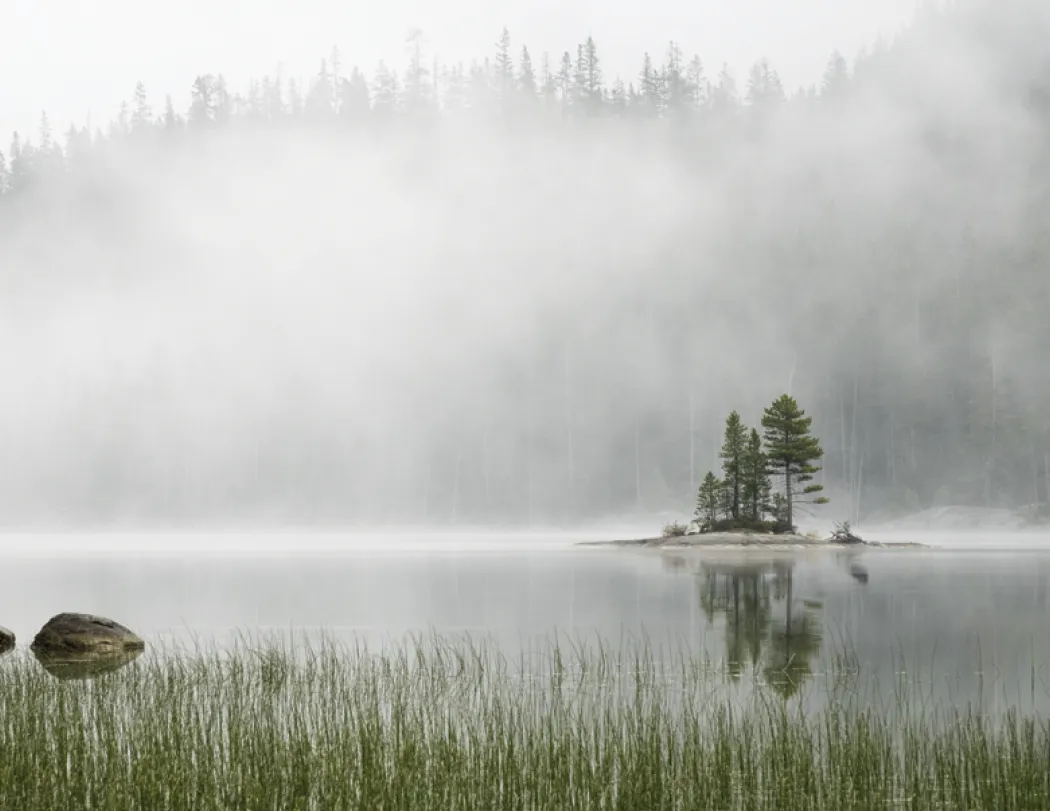 Weather Almanac Wall Calendar Phenomena FSC - 19 x 11 in - product view 13