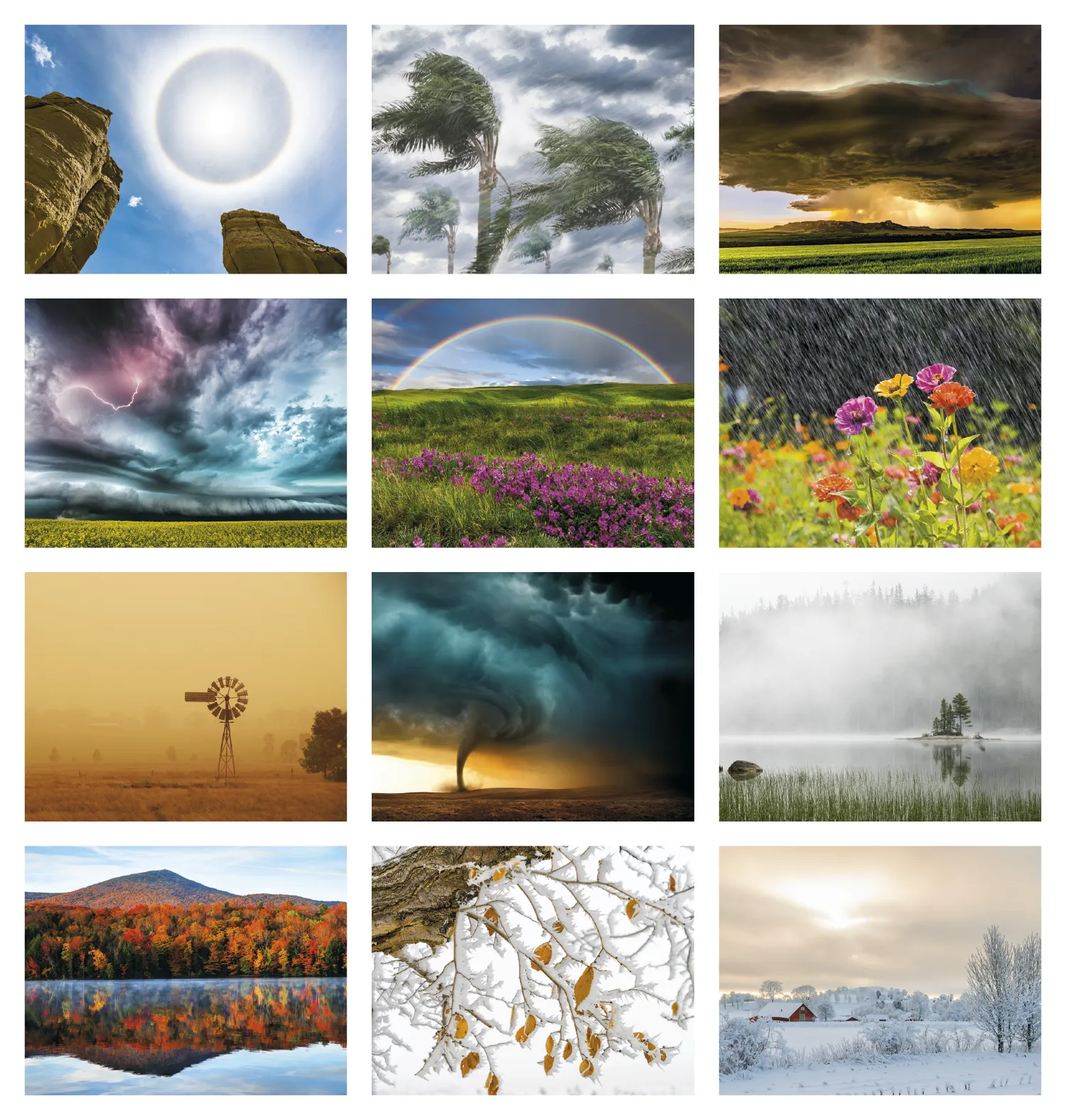 Weather Almanac Wall Calendar Phenomena FSC - 19 x 11 in - product view 18