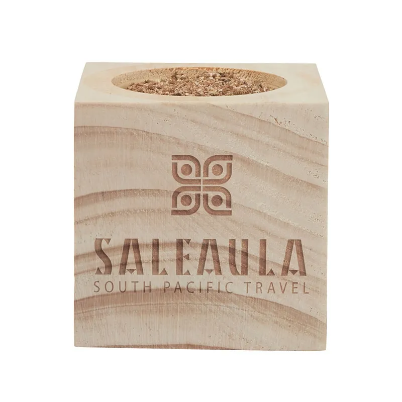 Christmas Tree Grow Kit Norway Spruce Pinewood - 3 in