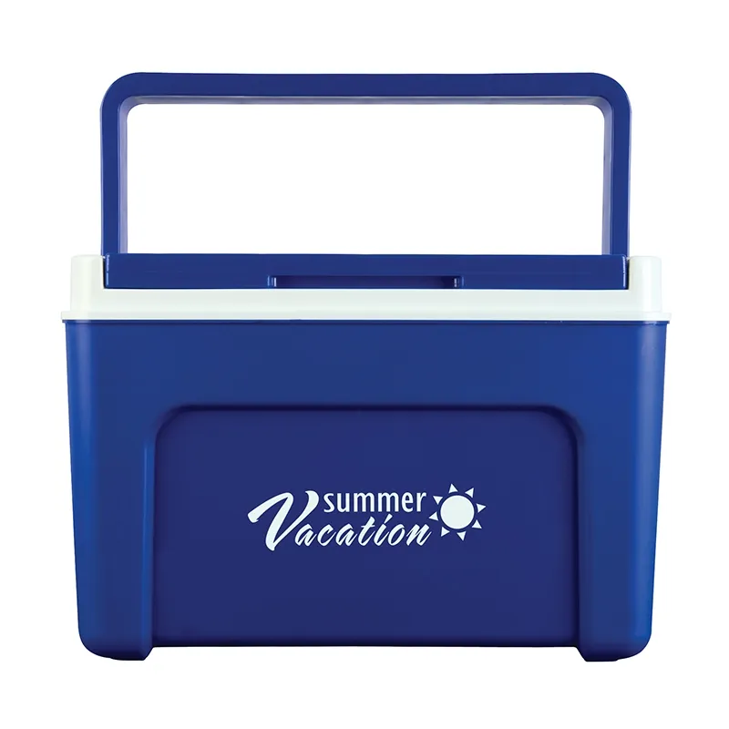 Hard Sided Cooler with Swing Handle - 13 L