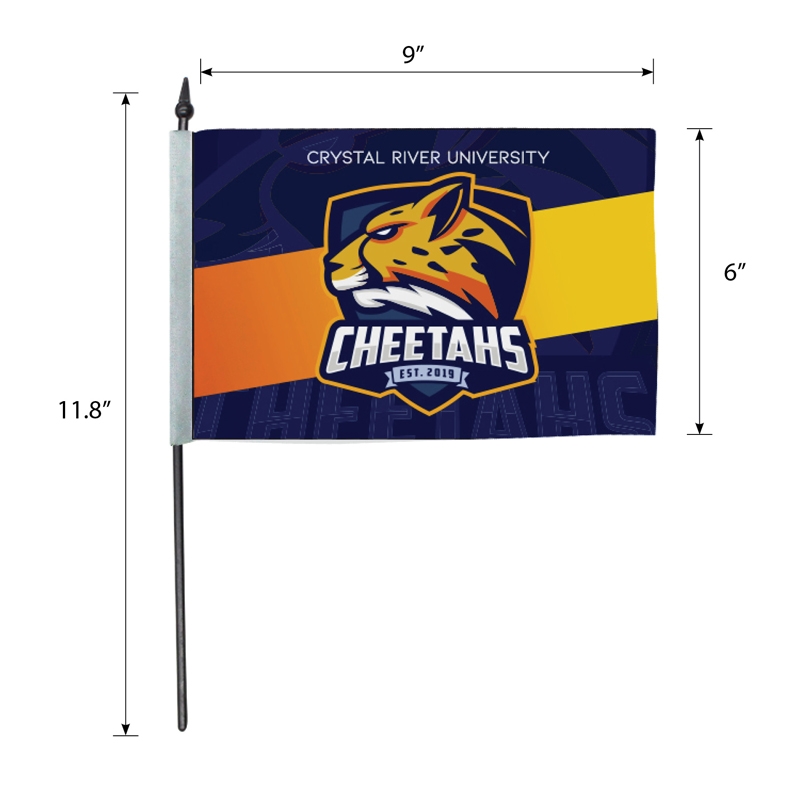 Hand Flag Single-Sided with Plastic Pole - 9 x 6 in - product view 2