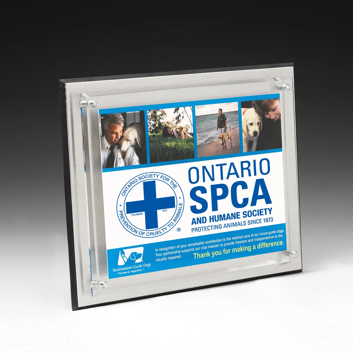 Brushed Aluminum Plaque Clear Panel Chrome Hardware - 6 x 8 in