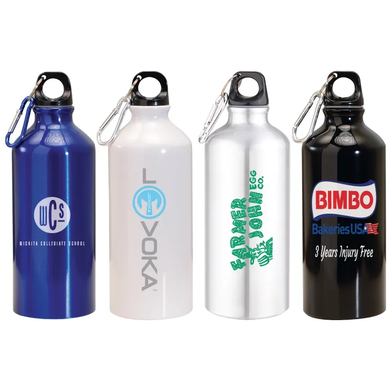 Aluminum Water Bottle Carabiner Lightweight - 20 oz